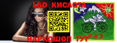 спайс Гай