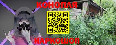сатива Аргун